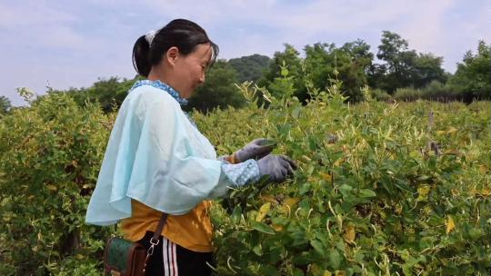 图示, 示意图&#10;&#10;中度可信度描述已自动生成