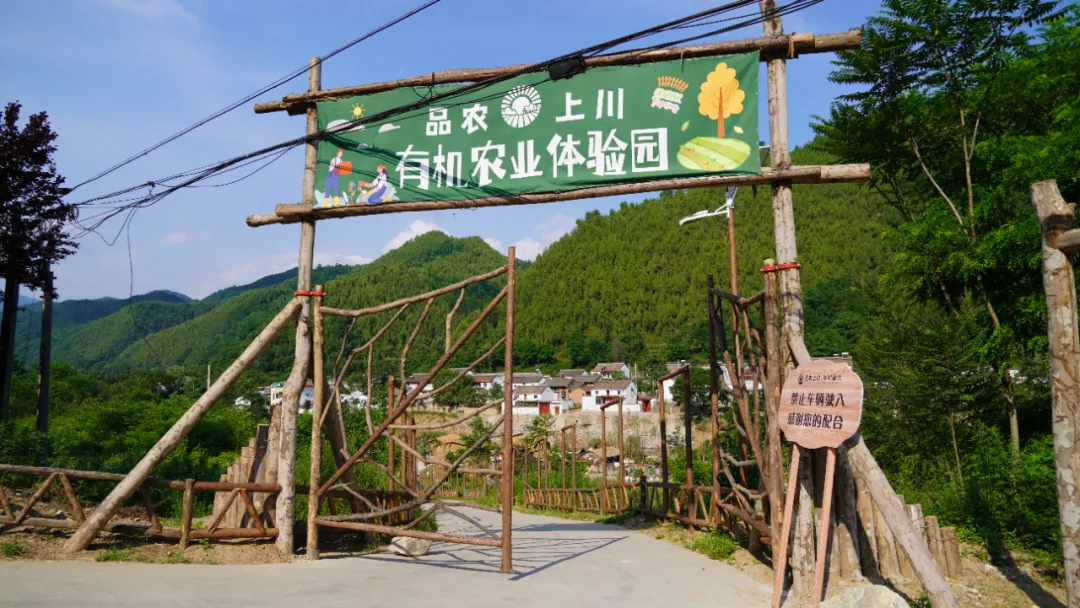 图片23