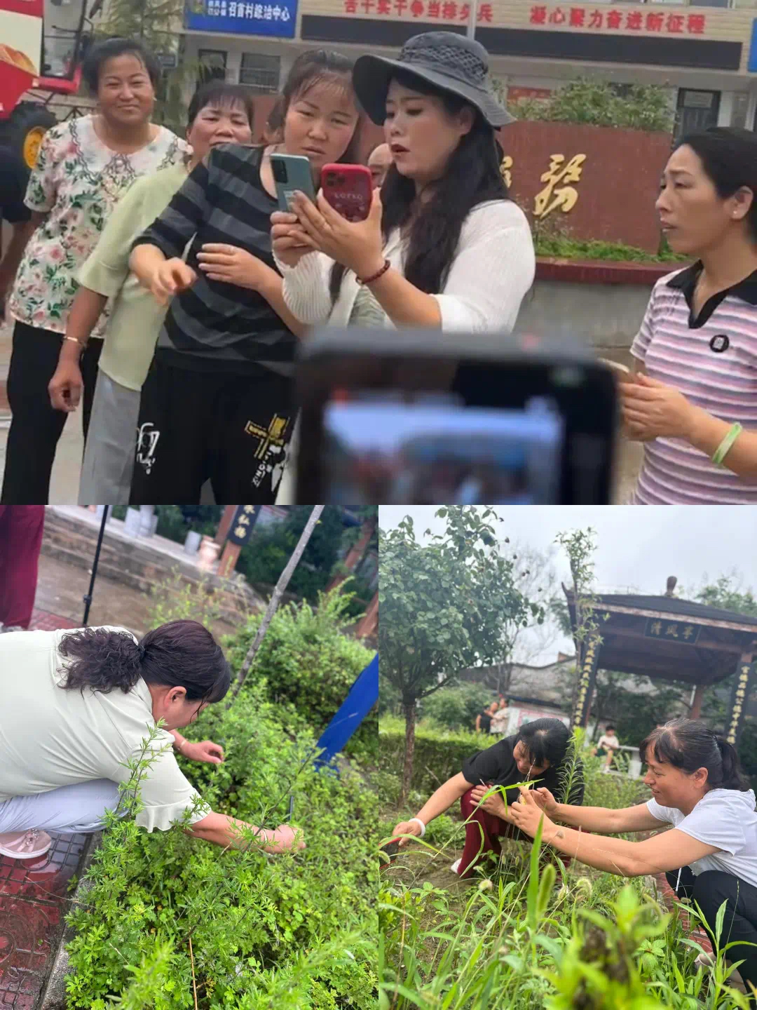 微信图片_20240722090322