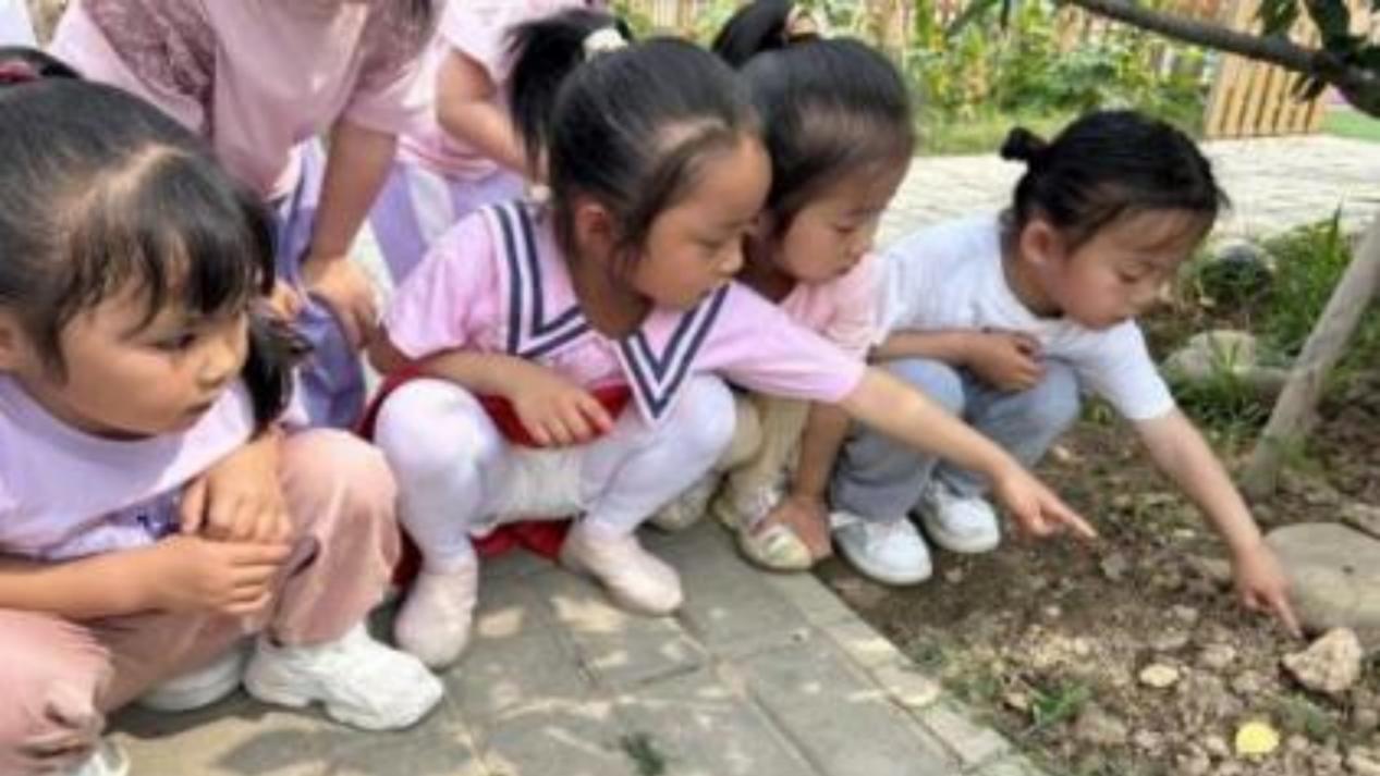 微信图片_20240805101237