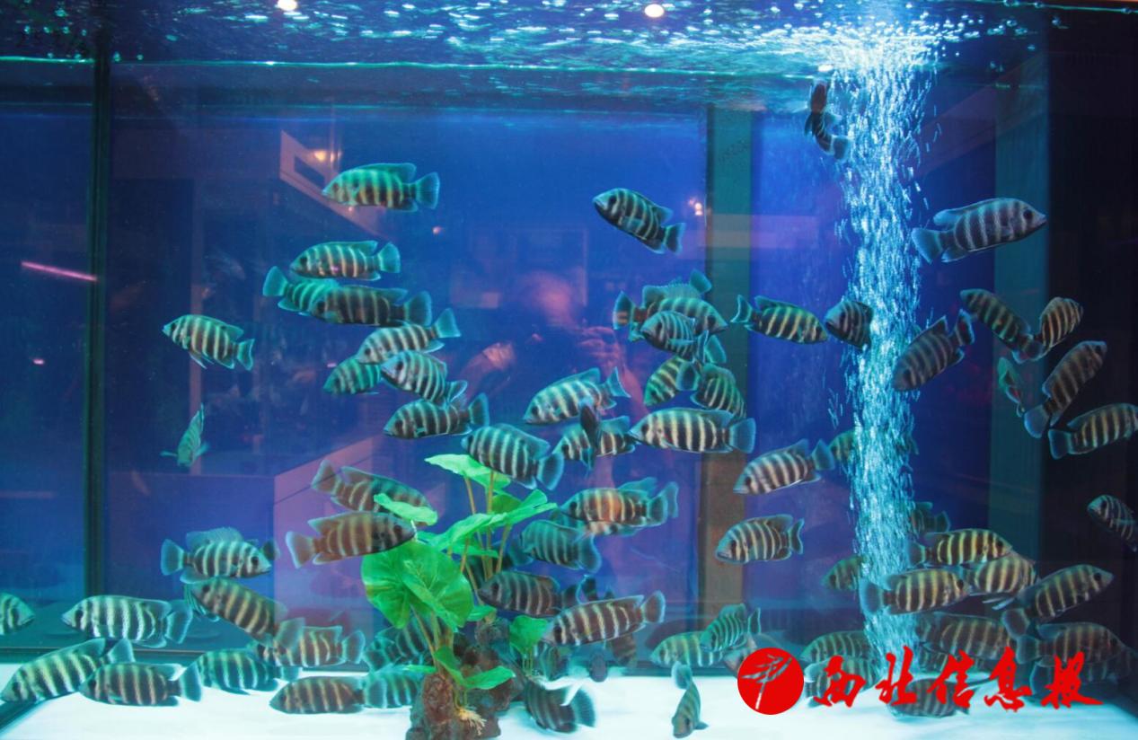 QQ截图20240808204208