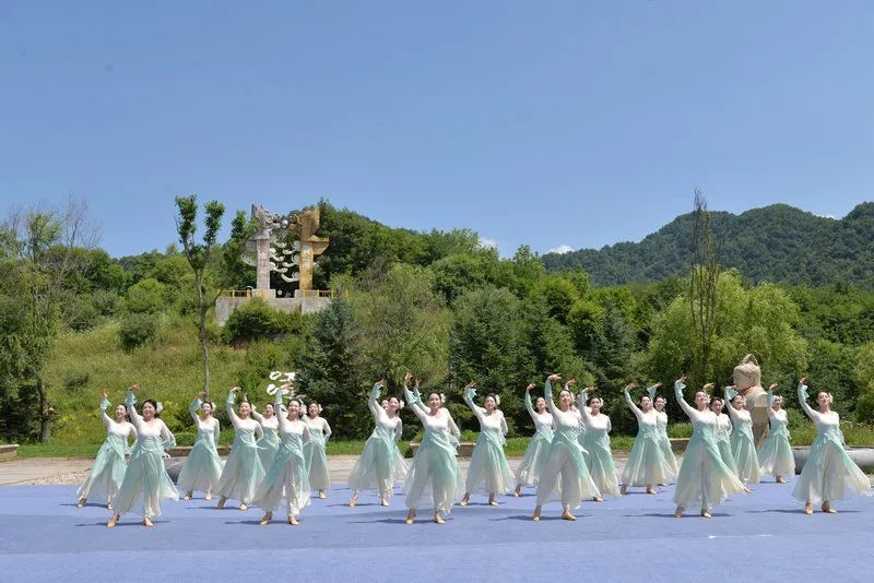图片11
