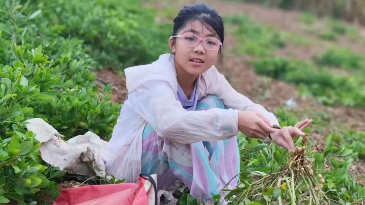 微信图片_20240830105625