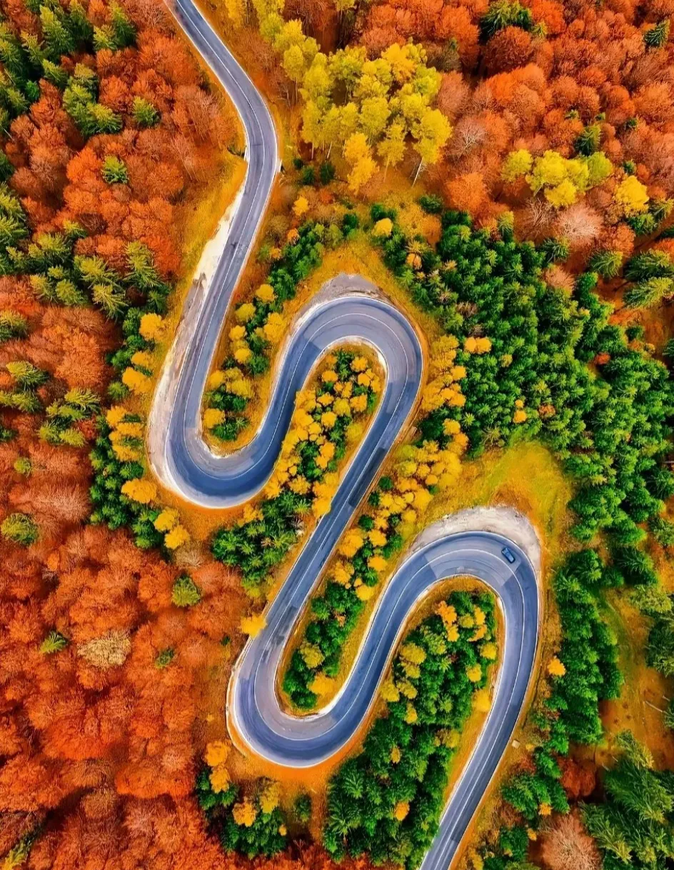 图片29