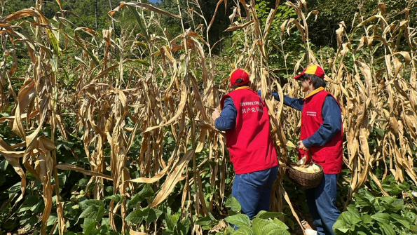 微信图片_20240914102328