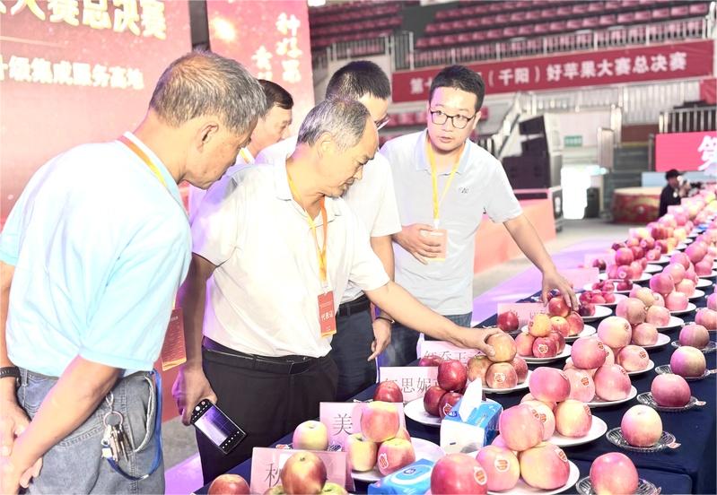 e6f5140b57dfb172674814972981608211