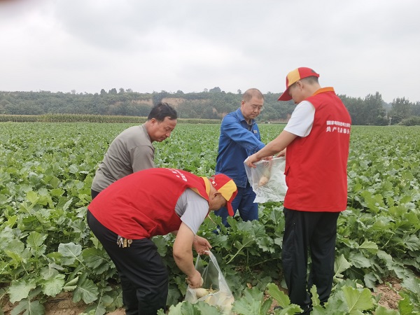 微信图片_20240920134253