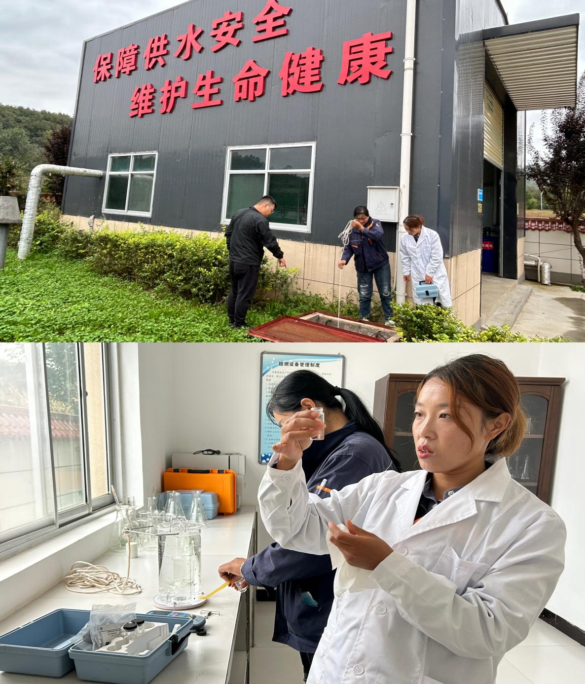 73692dfa7c047a52ee6731f293b2f3a