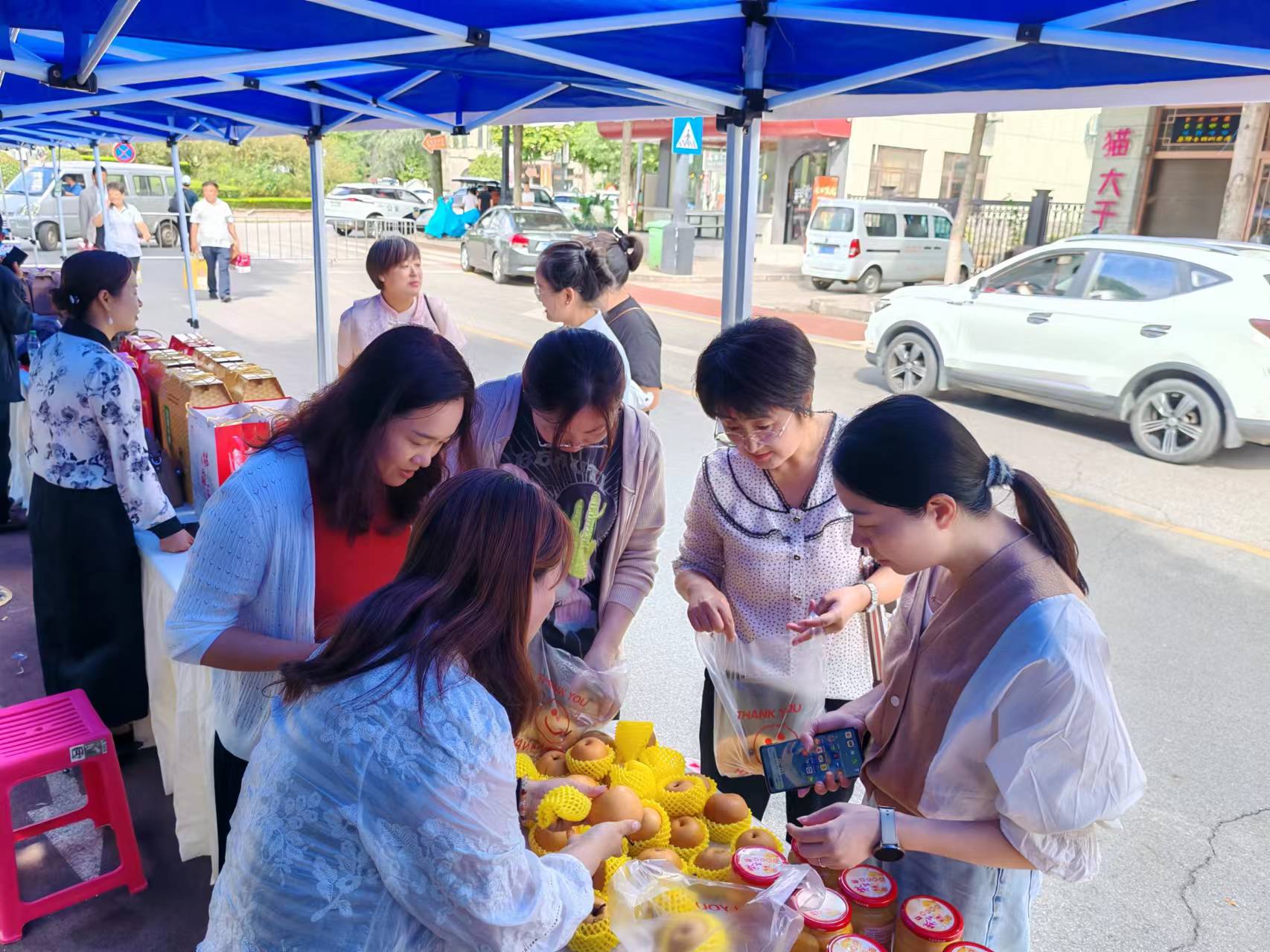 微信图片_20240921174406