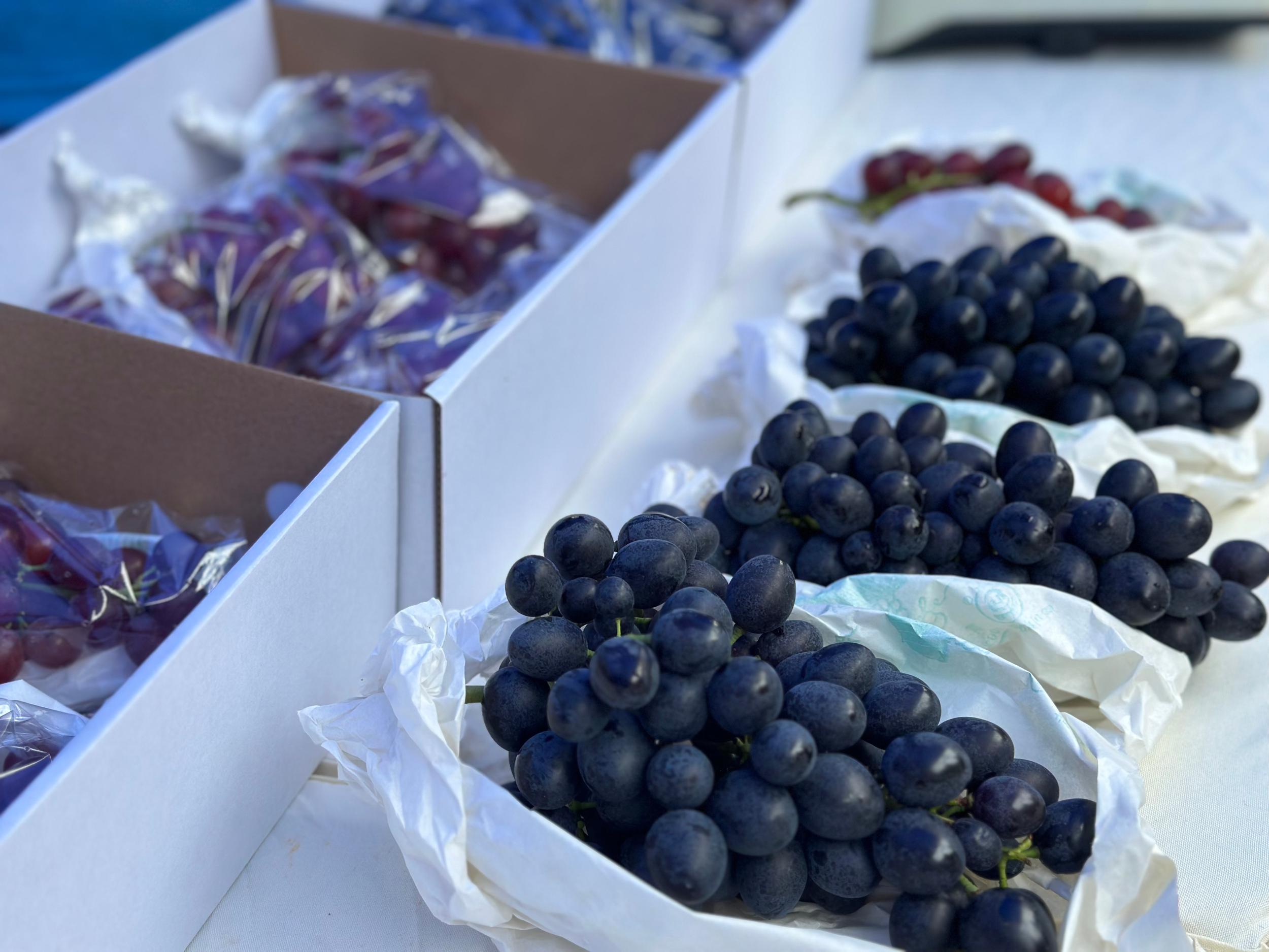 微信图片_20240921174351