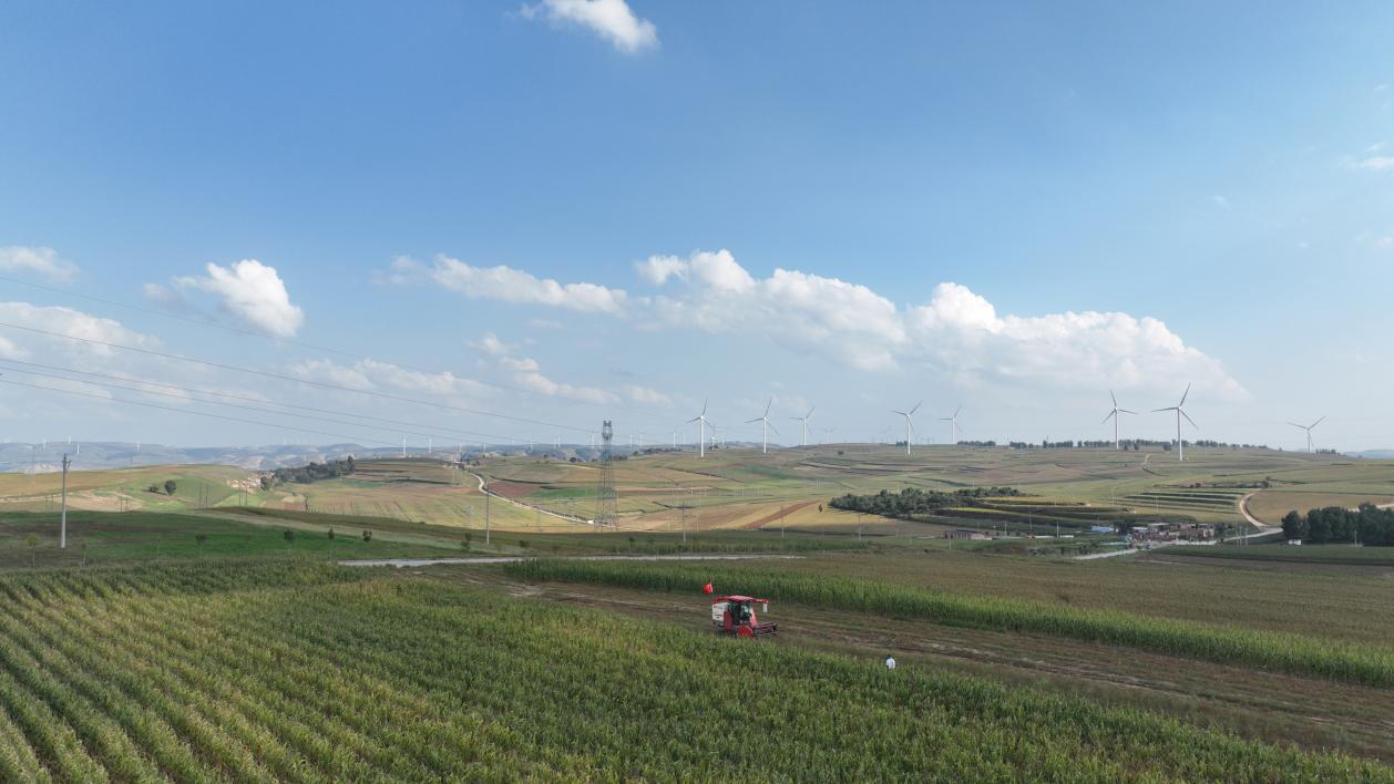 DJI_0968