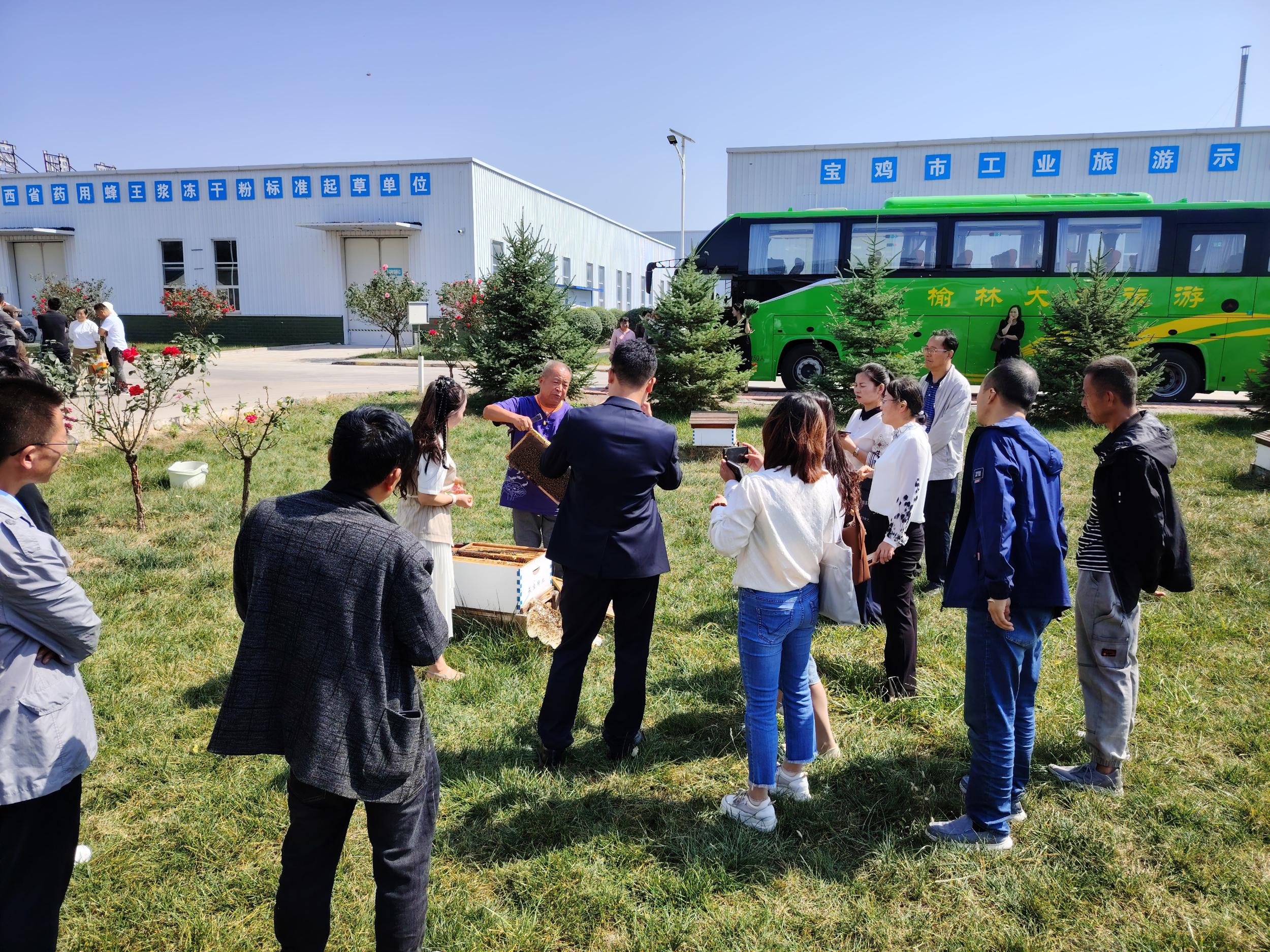 20240927100302589-7-24ce6.jpg_scale.jpg 20240927100302589-7-24ce6.jpg_scale.jpg