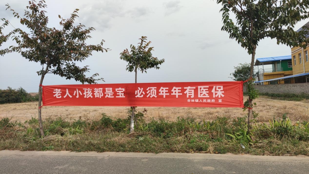 微信图片_20241011133009