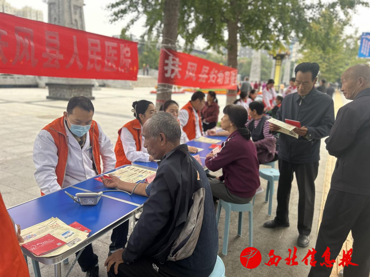 图片5