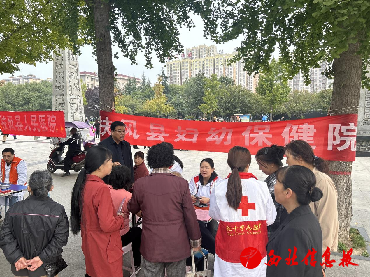 图片6