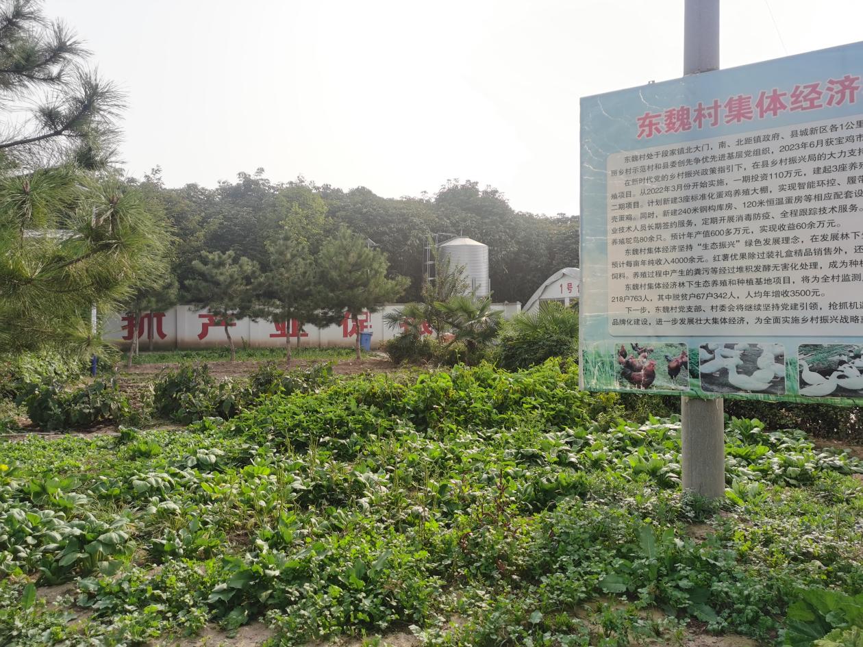 微信图片_20241016170528