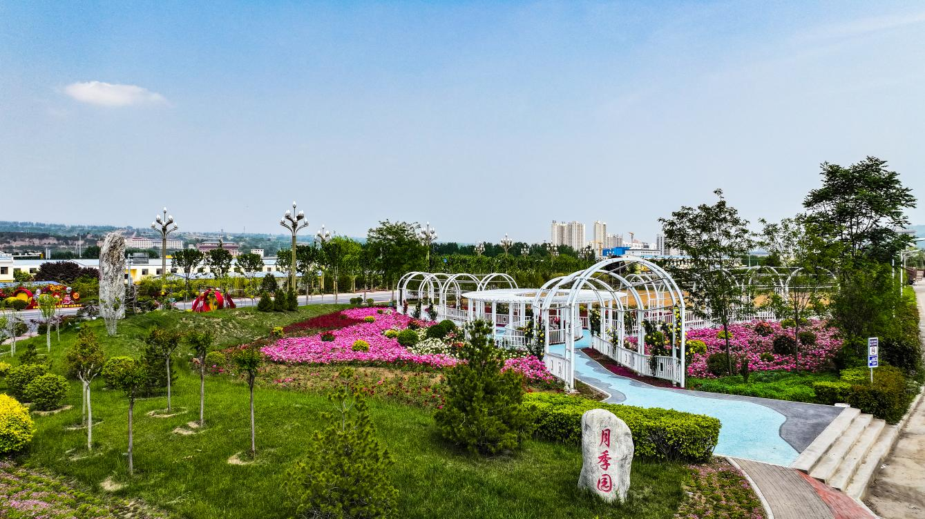 图片6