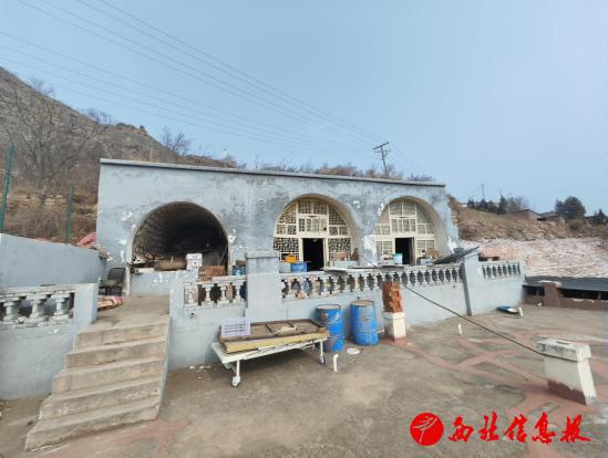 张梅梅 (1)