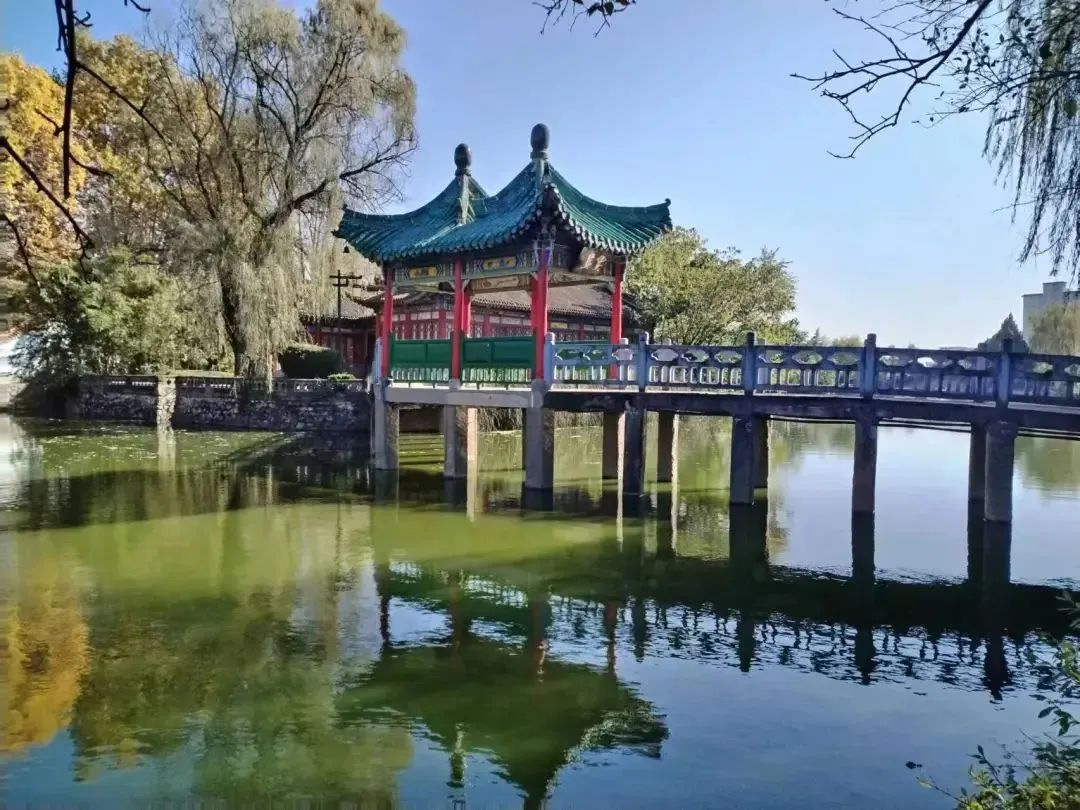 图片16