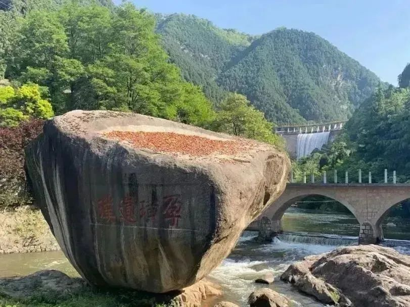 图片21
