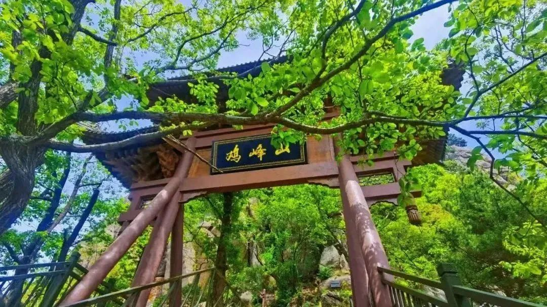 图片22
