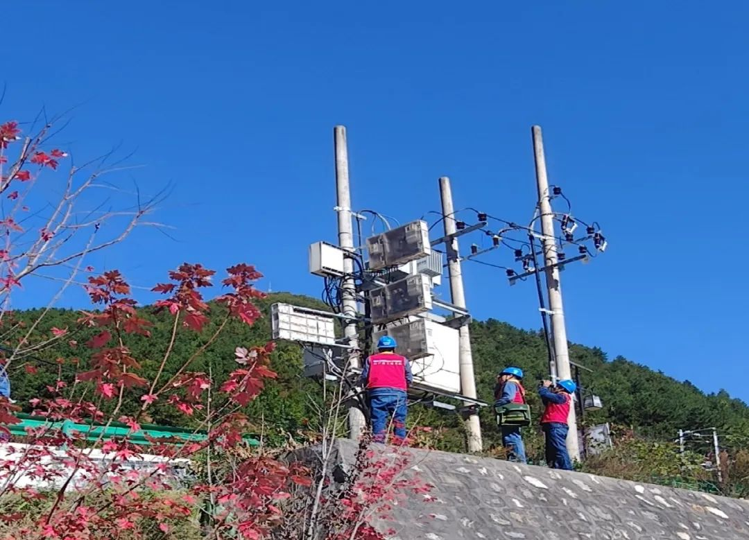 图片6