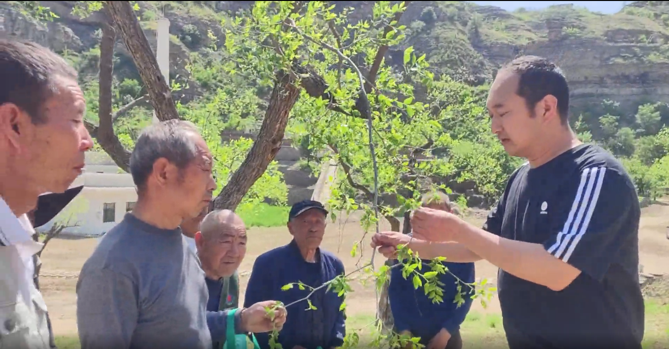 微信图片_20241024101834