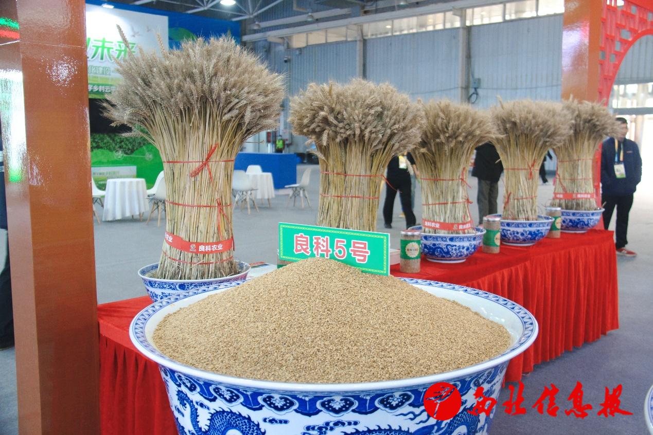 图片包含 桌子, 户外, 建筑, 杯子

描述已自动生成