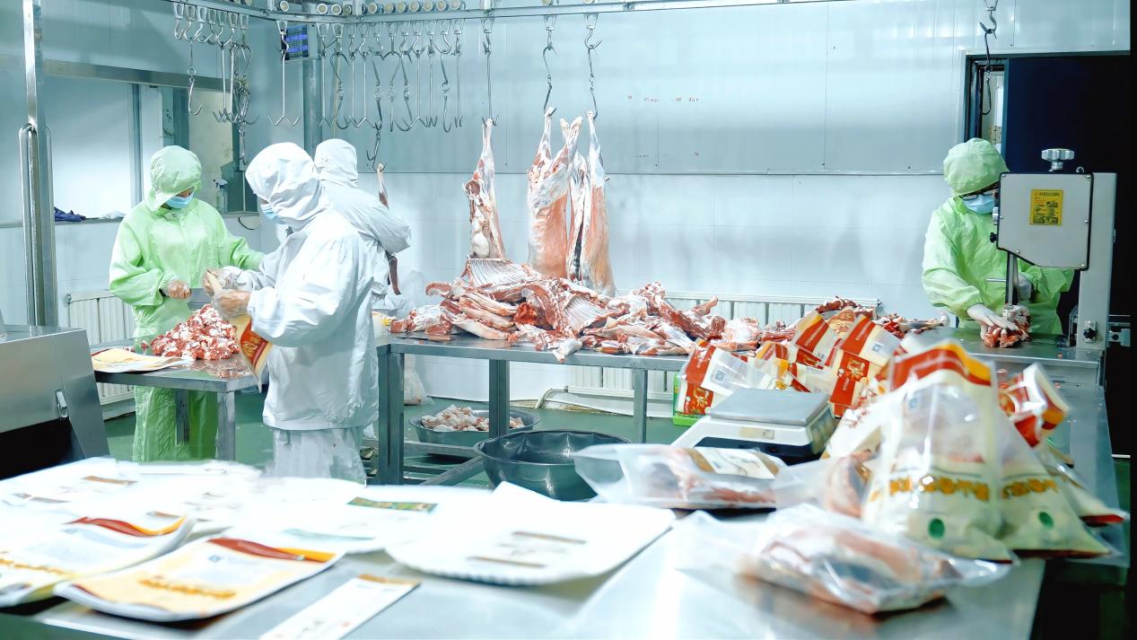 微信图片_20241024194915_副本