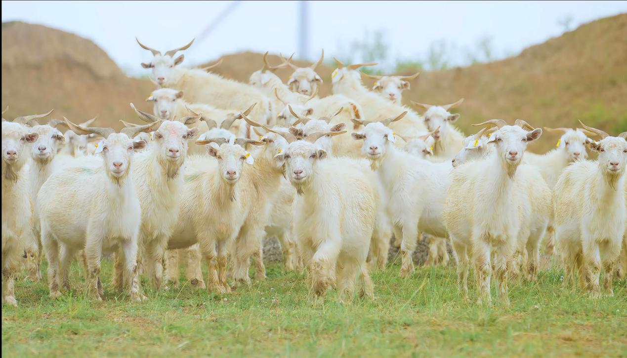 微信图片_20241024194942