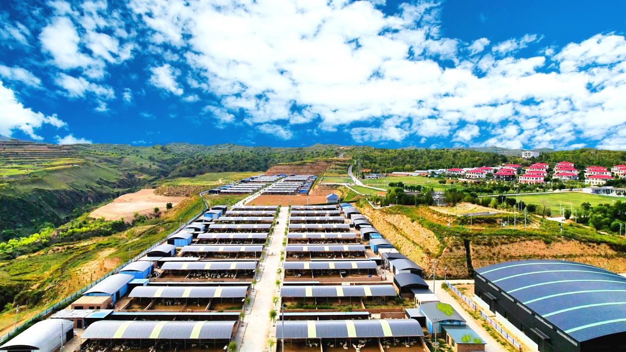 微信图片_20241024194856_副本