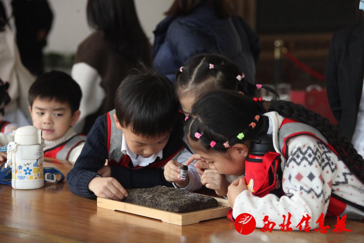 图片7