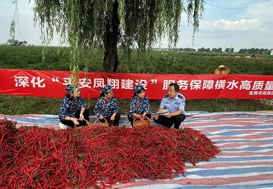 图片2