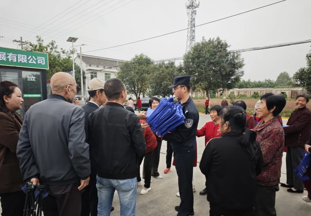 图片12