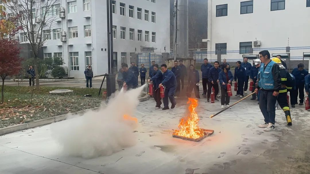 图片7