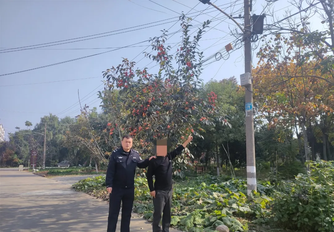 图片4