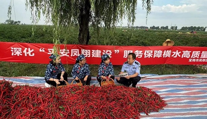 图片3