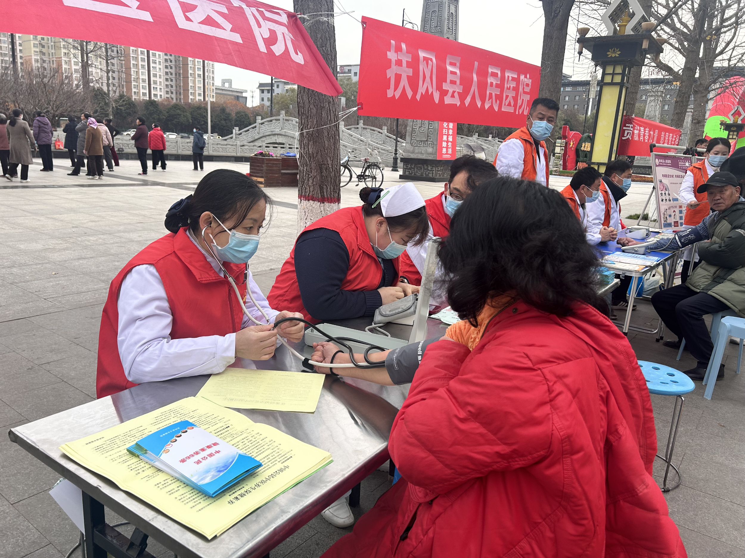 图片3