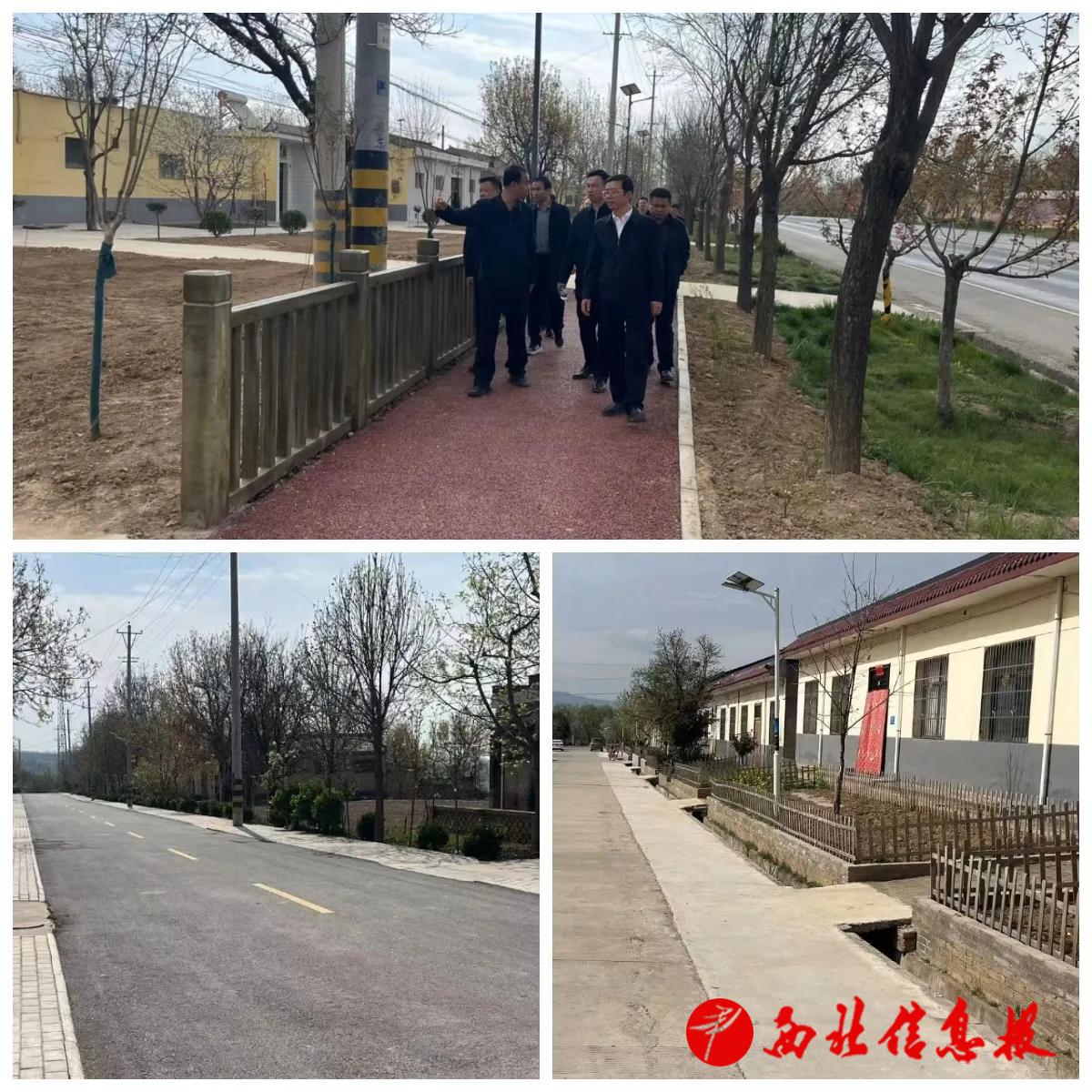 图片3