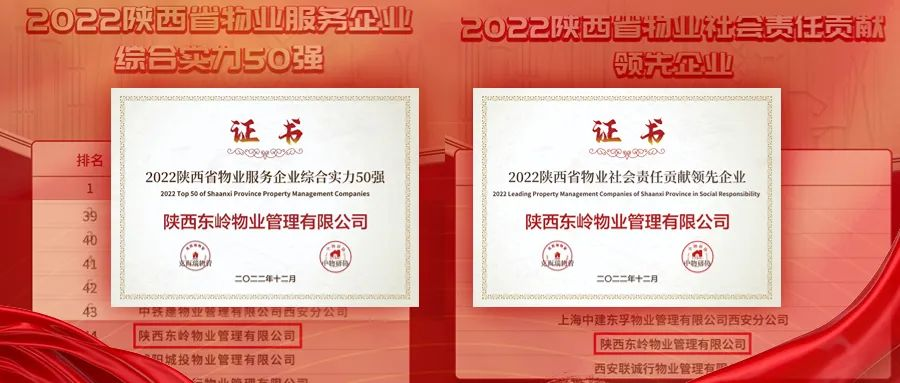 图片10