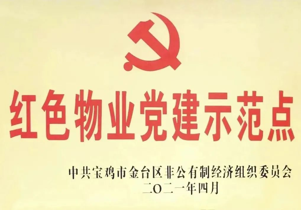 图片11