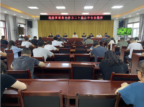 学习二十届三中全会精神