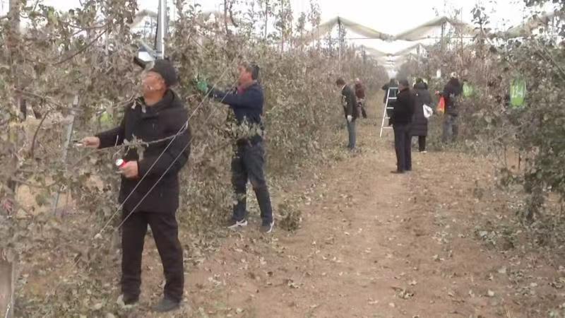 图示, 示意图&#10;&#10;中度可信度描述已自动生成