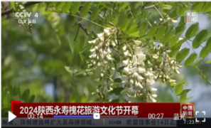 微信图片_20250108154842