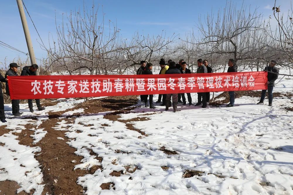 图示, 示意图&#10;&#10;中度可信度描述已自动生成