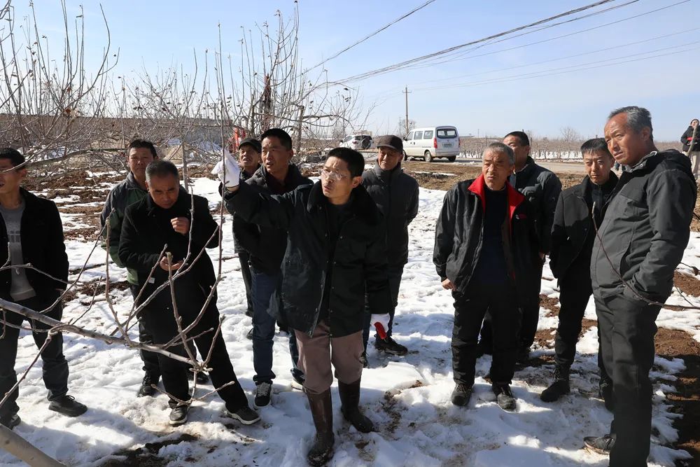 图示, 示意图&#10;&#10;中度可信度描述已自动生成