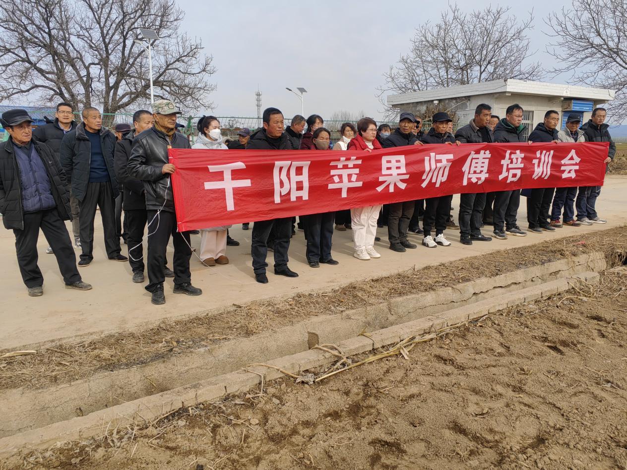 微信图片_20250209152527