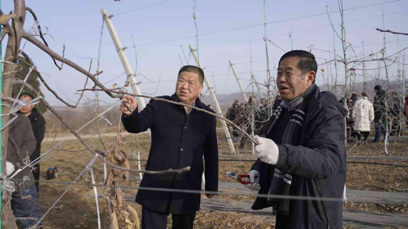 微信图片_20250211173522