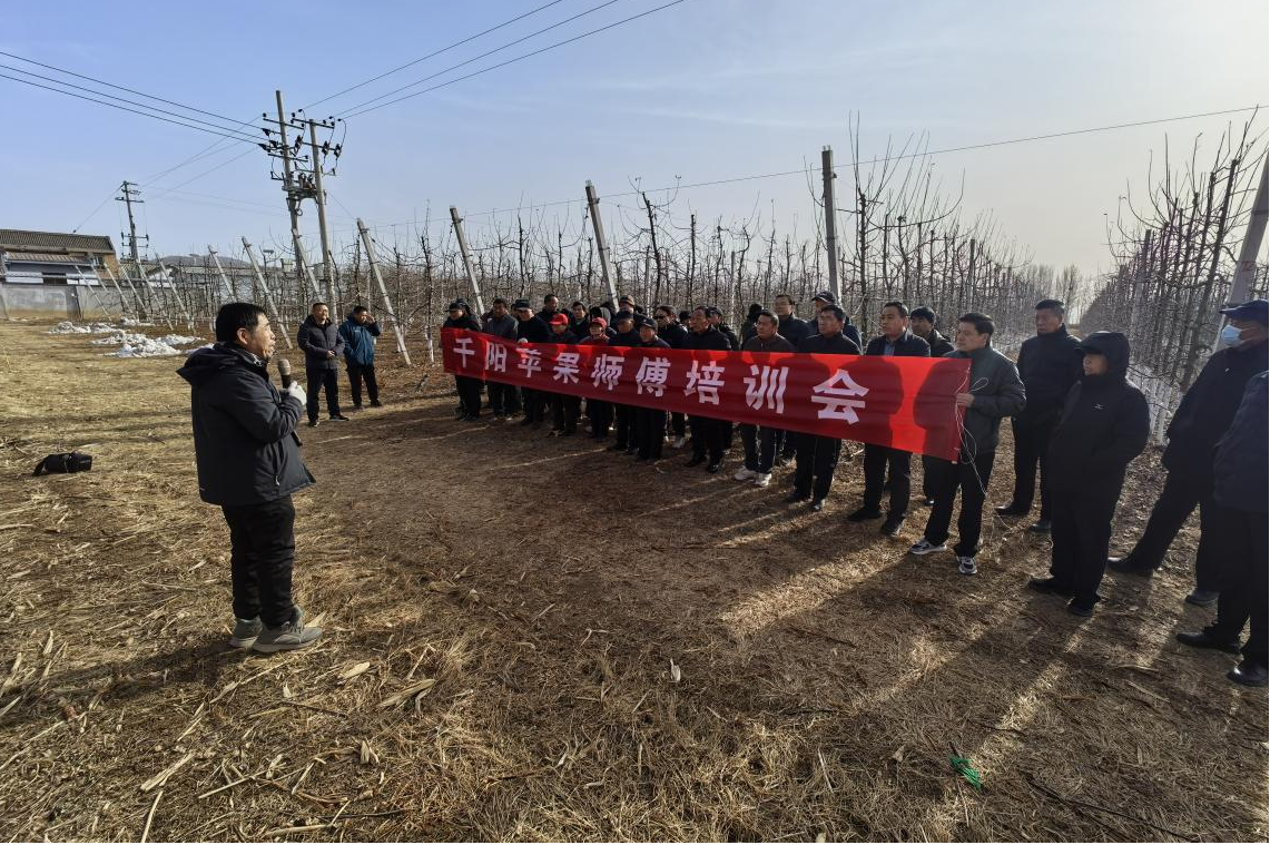 微信图片_20250211173504