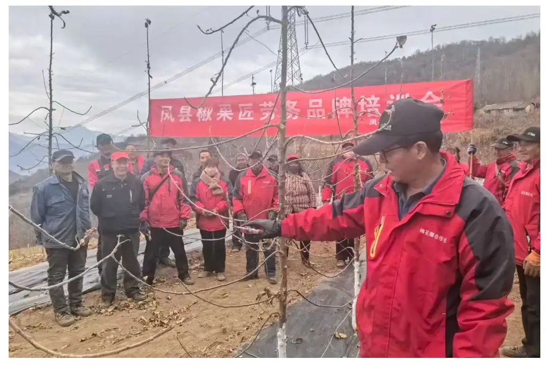 图片2